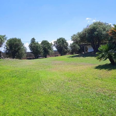 Villa sarda Assemini Dış mekan fotoğraf