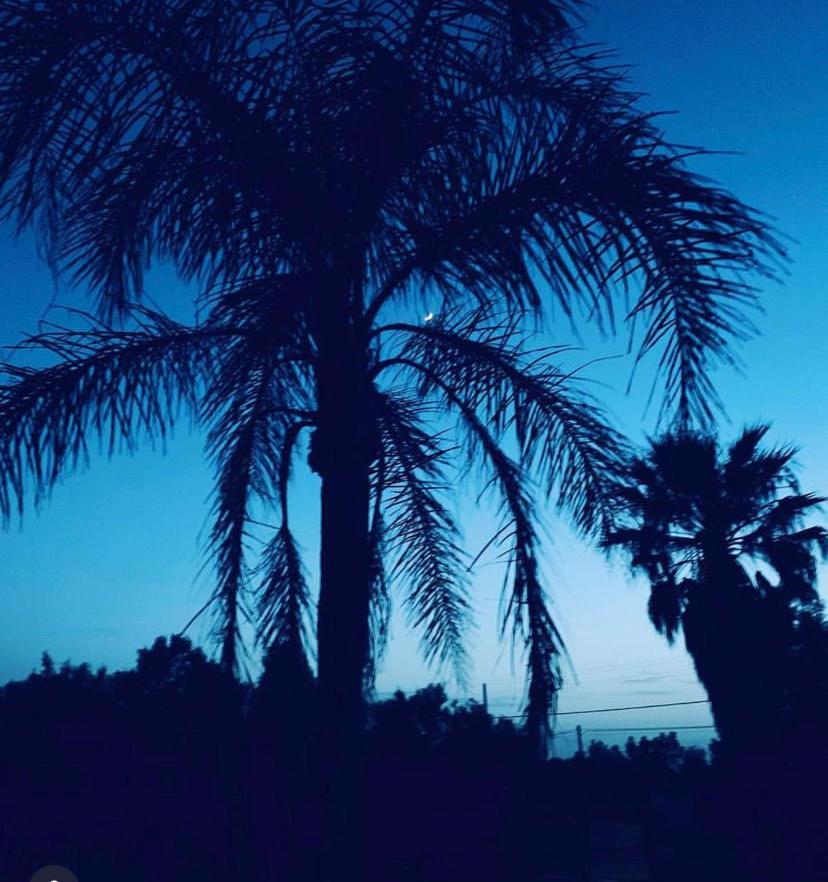 Villa sarda Assemini Dış mekan fotoğraf